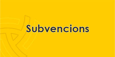 Subvencions 2023 a projectes o iniciatives adreçades a la joventut